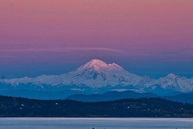 Private Sightseeing Tour in Victoria Canada - What We Think: Who Is This Tour Best For?