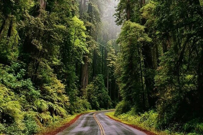 Private Sightseeing Tour in Victoria Canada - Final Thoughts: Is This Tour Right for You?