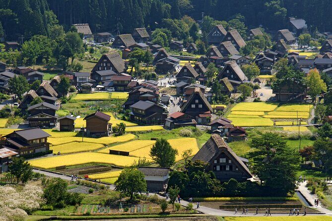 Private Sightseeing Tour to Shirakawago and Takayama from Nagoya - What’s Included and What’s Not
