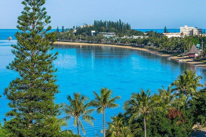 Private Sightseeing Tours - Key Points