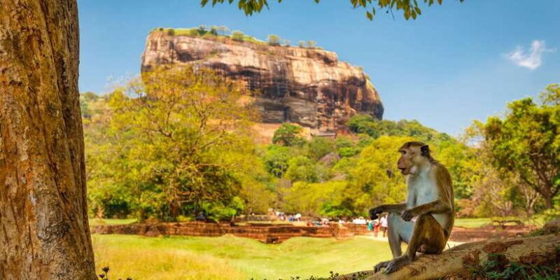 Private Sigiriya and Dambulla Day Tour from Colombo - FAQ