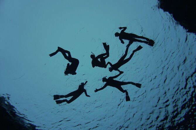 Private Silfra Freedive Tour - Exploring the Unique Beauty of Silfra with a Private Freedive Tour