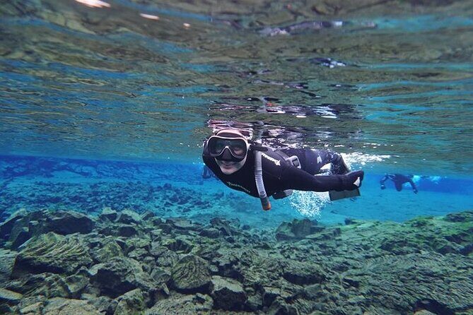 Private Silfra Freedive Tour - Key Points
