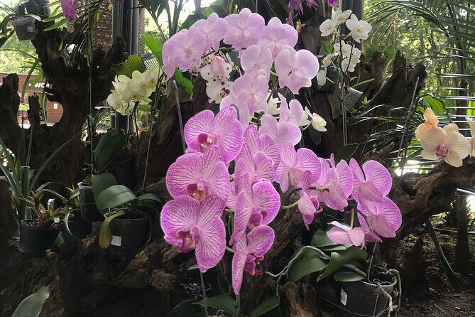 Private Silleteros (Flowers) Tour - Frequently Asked Questions (FAQs)