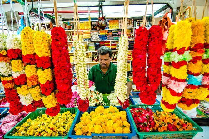 Private Singapore Chinatown, Little India and Temples Guided Tour - The Sum Up