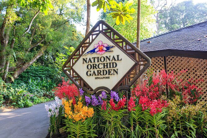 Private Singapore City Tour and National Orchid Garden - Exploring the Singapore Highlights in Depth