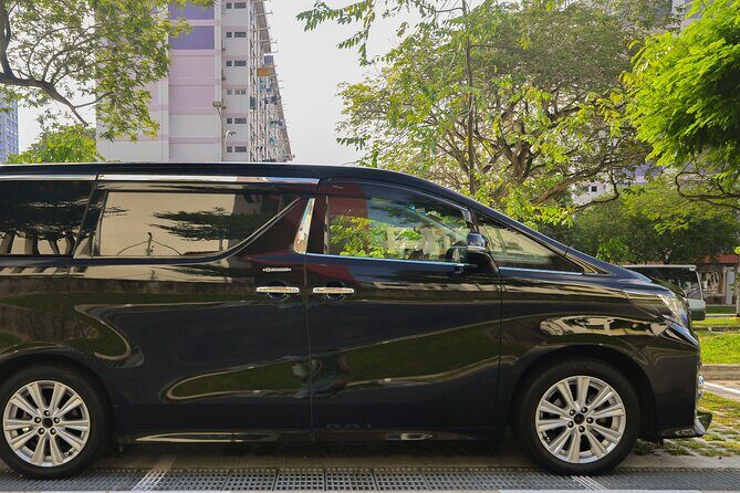 Private Singapore Departure in Mini Van from Hotel to Changi Airport - Authentic Experiences from Travelers