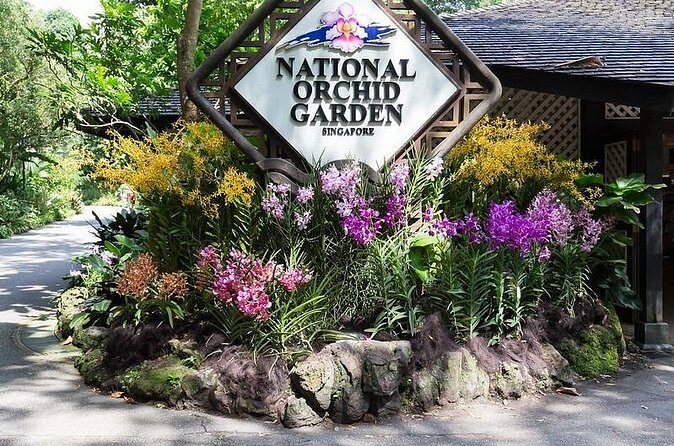 Private Singapore Full Day Highlights Tour with River Cruise Ride - Who Should Consider This Tour?