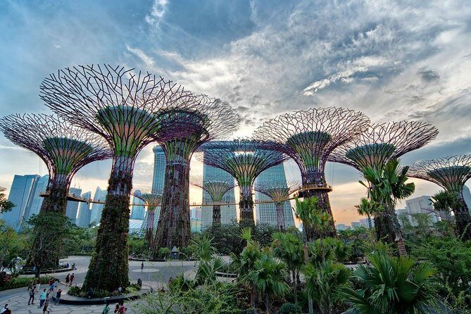 Private Singapore Night Tour with Gardens by the Bay&River Cruise - A Deep Dive into the Tour Experience