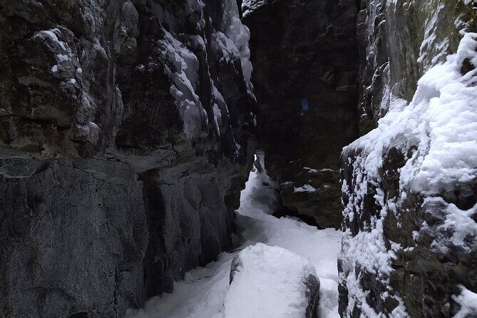 Private Singhampton Caves Snowshoe, Collingwood/Blue Mountain - What to Expect from Your Snowshoe Adventure