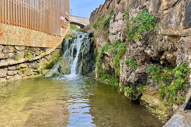 Private Sintra & Cascais Tour  Palaces, Wine & Views from Lisbon - In-Depth Look at the Tour Experience