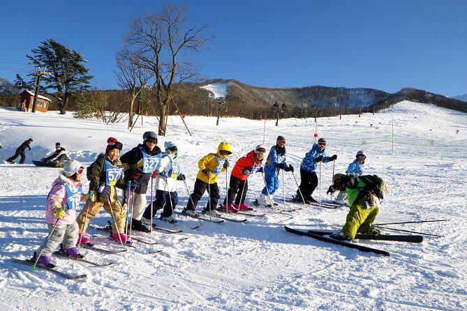 Private ski lesson for family or group(Transport included ) - A Thorough Look at the Experience