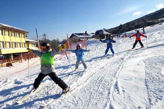 Private ski lesson for family or group(Transport included ) - Practical Details and Considerations