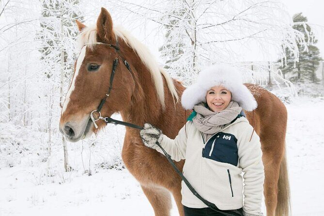 Private Sleigh Ride with Finnhorse - Key Points