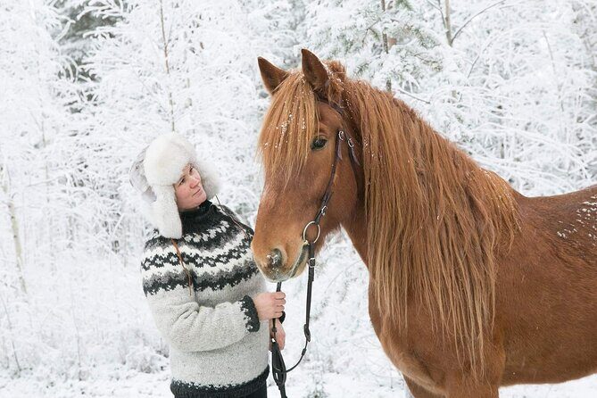 Private Sleigh Ride with Finnhorse - Who Will Love This Experience?