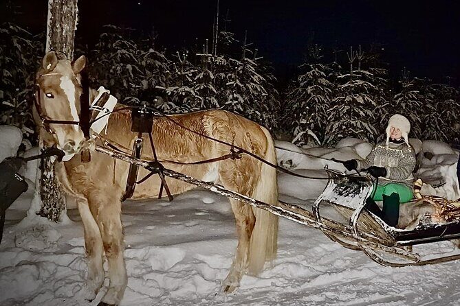 Private Sleigh Ride with Finnhorse - Final Thoughts