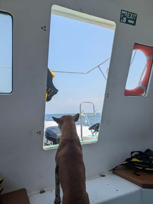 Private - small group Cham Island Snorkeling Tour w lunch - Who Should Consider This Tour?