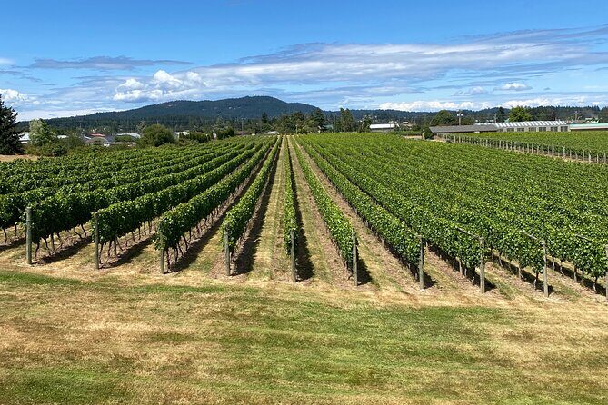 Private Small Group Local Wine, Cider Tasting, Central Saanich - Who Will Love This Tour?