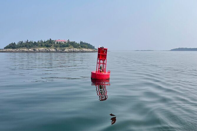 Private Small Group Wildlife Eco Tour in Kennebunkport - An In-Depth Look at the Experience