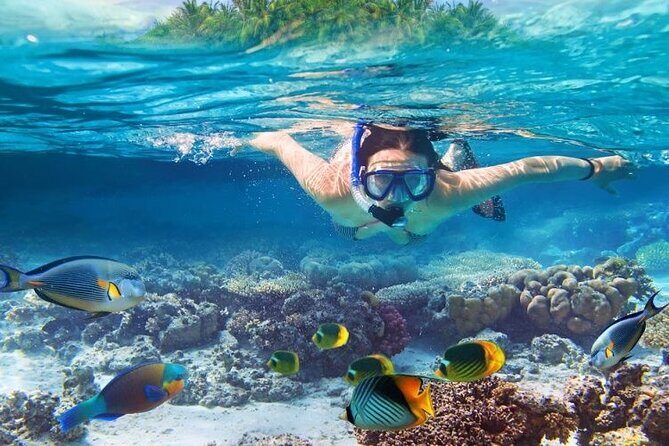 Private Snorkel along the West Coast - Final Thoughts
