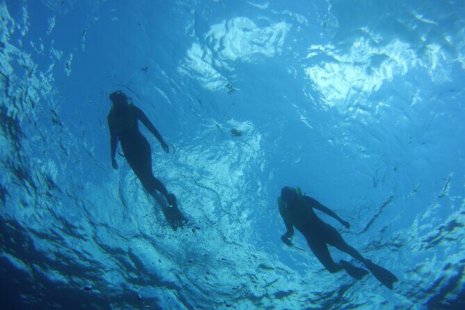 Private Snorkel to Key Largo Reef for up to 12 - INCLUDES GEAR! - The Sum Up