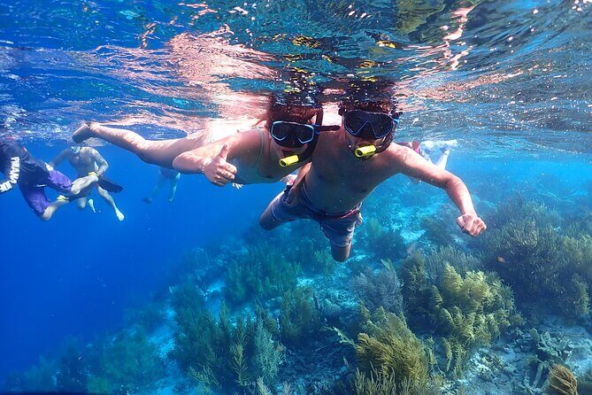 Private Snorkel Tour with Captain and Guide Bonaire Marine Park - FAQ