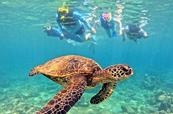 Private Snorkel tours - FAQ