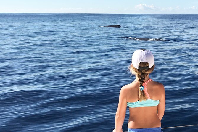 Private Snorkel Trip from Oahu on a Yacht - Discovering the Perfect Private Yacht Snorkel Experience in Oahu