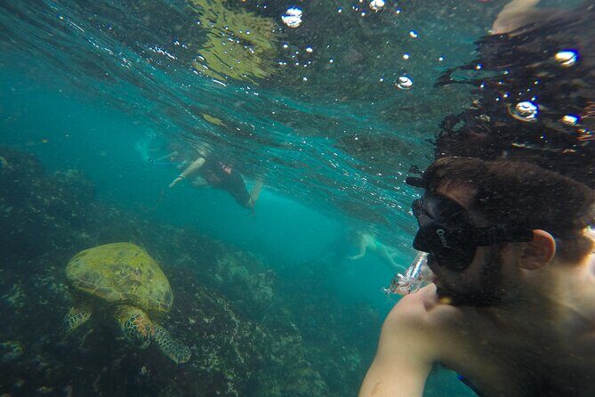 Private Snorkeling Activity in Key Largo - Discover the Underwater Wonders of Key Largo with a Private Snorkeling Tour