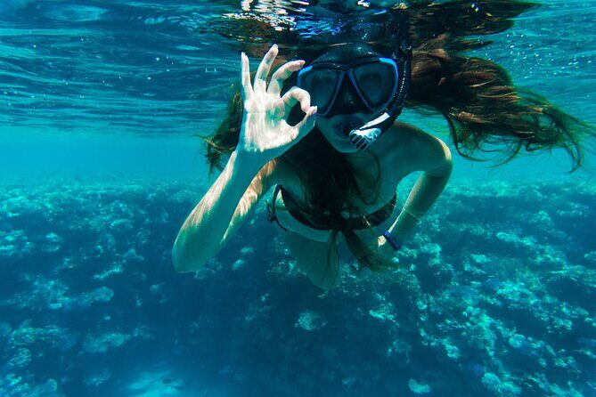 Private Snorkeling Activity in Key Largo - Key Points