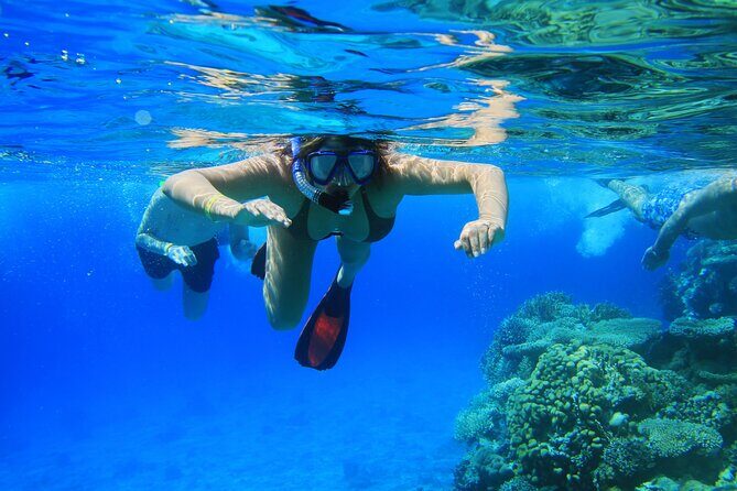 Private Snorkeling Activity in Key Largo - Why This Tour Stands Out and Who Should Consider It