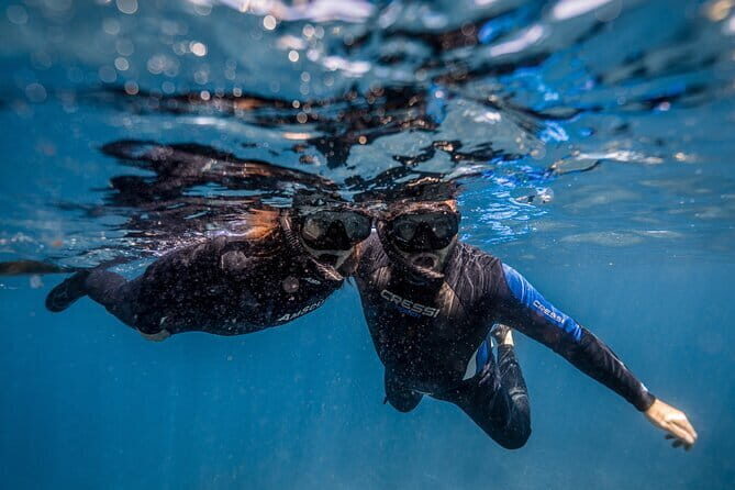 Private Snorkeling and Freediving Trip to Manta Point - Who Should Consider This Tour?