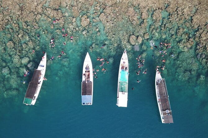 Private Snorkeling and Island Hopping Tour in Karimunjawa - A Detailed Look at the Karimunjawa Snorkeling & Island Hopping Tour