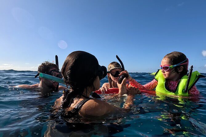 Private Snorkeling Cruise in Waikiki - Exploring the Private Snorkeling Cruise: An In-Depth Review