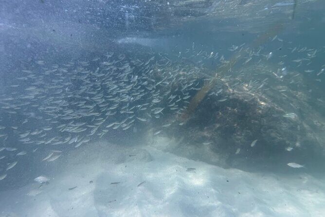 Private Snorkeling Excursion - Final Thoughts on the Private Snorkeling Excursion