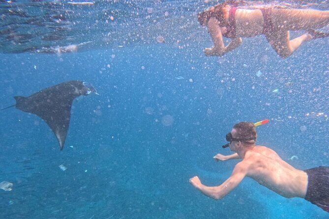 Private Snorkeling from Nusa Penida - The Sum Up