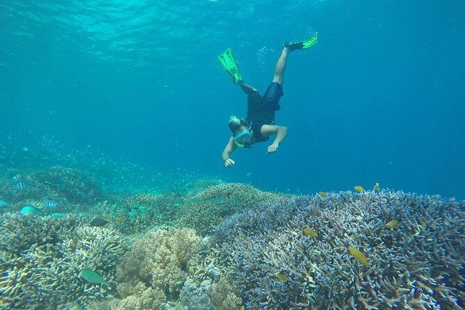 Private Snorkeling Gili Island (Coral, Statue and Turtle) - Who Will Love This Tour?