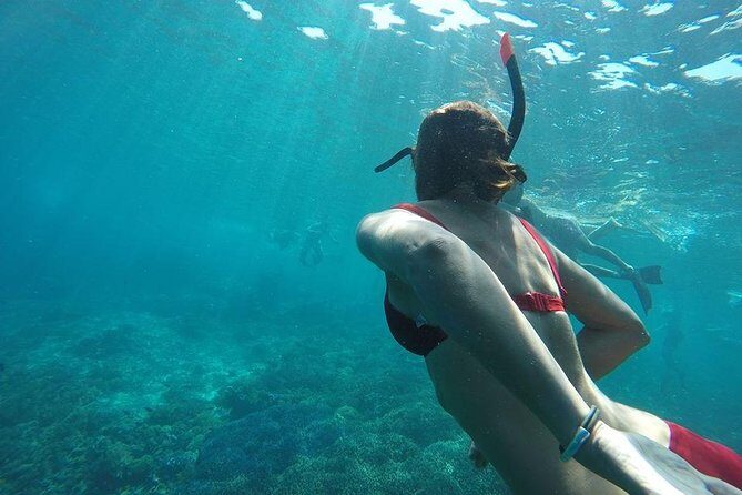 Private Snorkeling Gili Island (Coral, Statue and Turtle) - FAQ