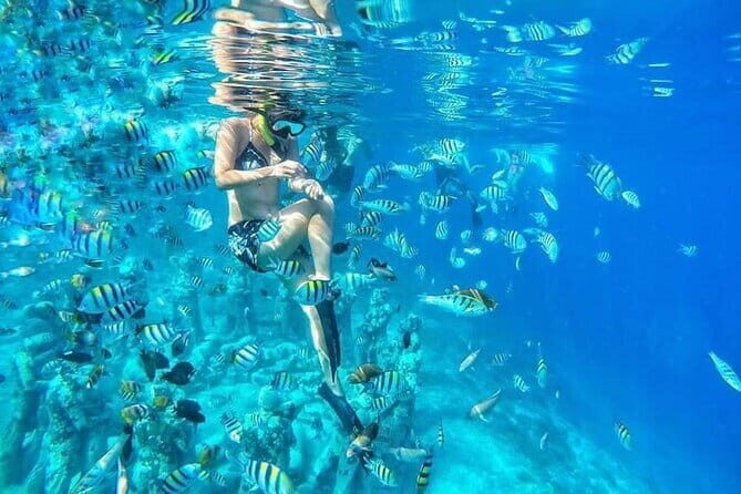 Private Snorkeling Gili Island Including GoPro Camera - FAQ
