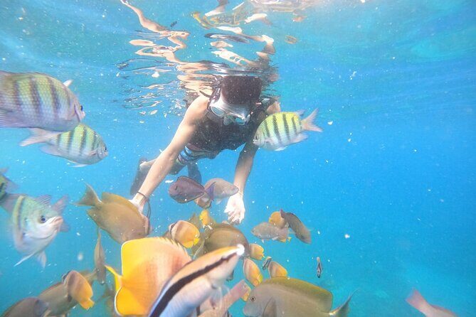 Private Snorkeling in Manta Bay, Gamat Bay & Wall at Nusa Penida - Key Points