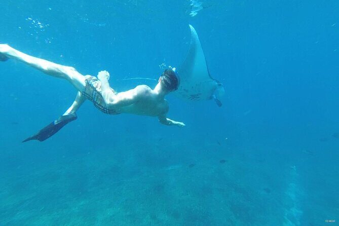 Private Snorkeling in Manta Bay, Gamat Bay & Wall at Nusa Penida - FAQ