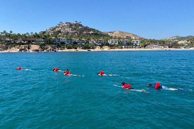 Private Snorkeling In San Jose Del Cabo Lunch, Drinks, Snack - Who Is This Tour Best For?
