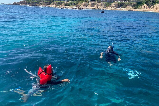 Private Snorkeling In San Jose Del Cabo Lunch, Drinks, Snack - Practical Details and Tips