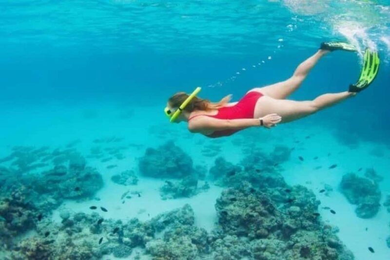 Private Snorkeling & Lunch Nature Reserve Garajau - Who Will Love This Experience?