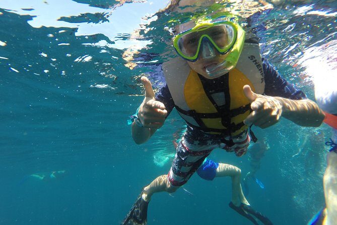 Private Snorkeling Tour in Cabo San Lucas - Final Thoughts: Is It Worth It?