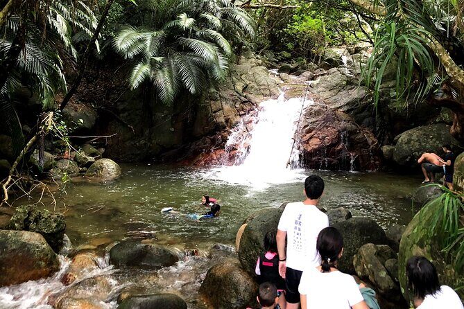 Private snorkeling tour Ishigaki island - A Closer Look at the Private Ishigaki Snorkeling Experience