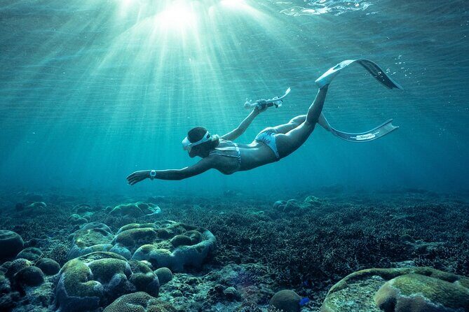 Private snorkeling tour Ishigaki island - Who Should Consider This Tour?