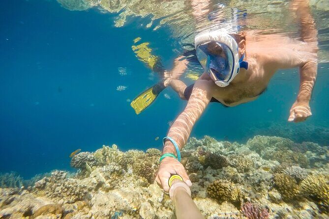 Private Snorkeling Yacht Tour in Cancun and Isla Mujeres - Frequently Asked Questions