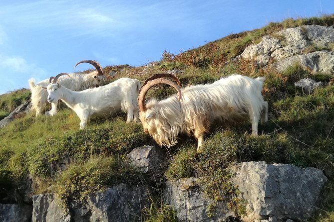 Private Snowdonias Mountains, Lakes & Mines Tour - Key Points