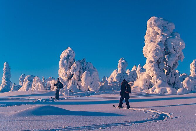 Private Snowshoe or Ski Adventure in Lapland - The Detailed Itinerary: What Makes It Special
